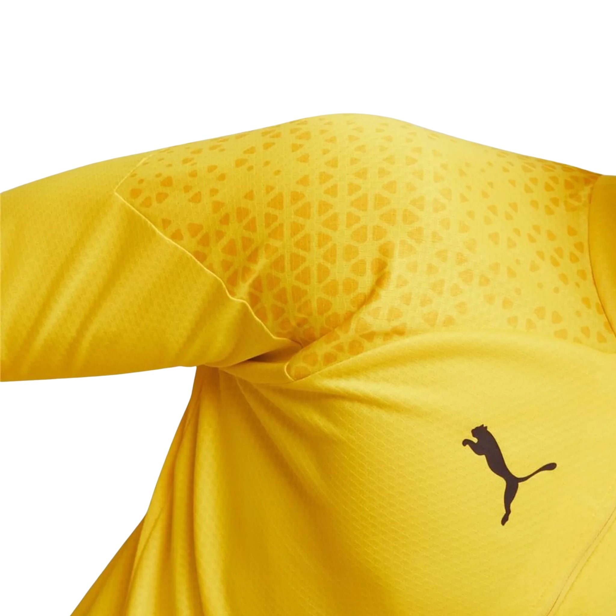 Borussia Dortmund - Survêtement - 1/2 Zip - Jaune et Noir 1&1