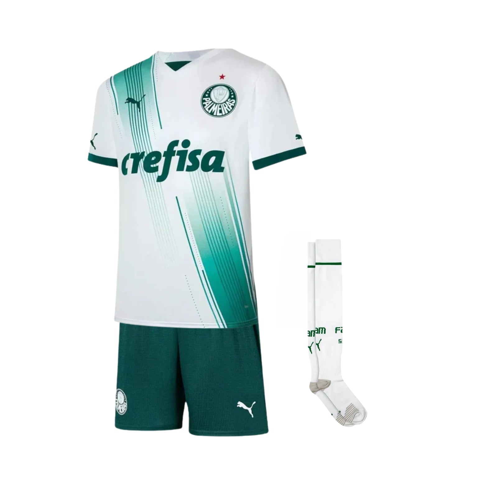 Kit - Palmeiras Extérieur 23/24 - Vue de face
