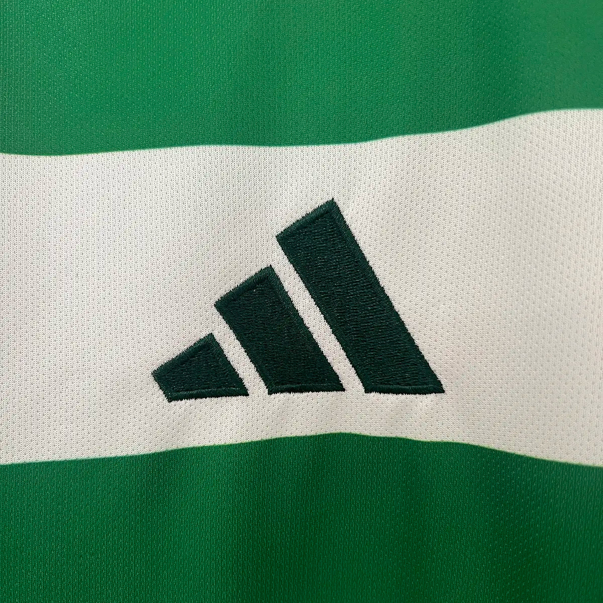 Celtic Domicile 24/25 - Vue 9