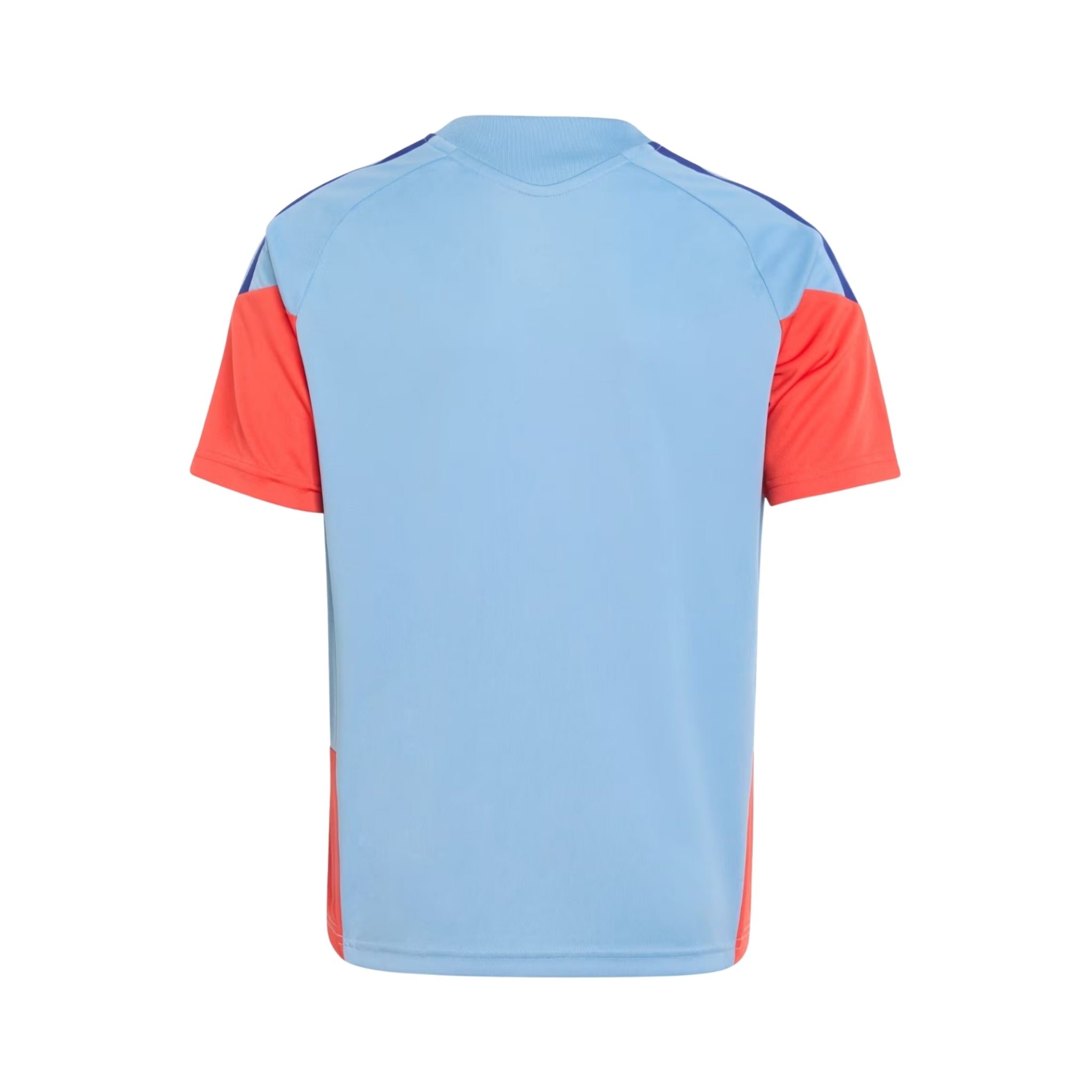 Japon Entraînement 26/27 - Détail