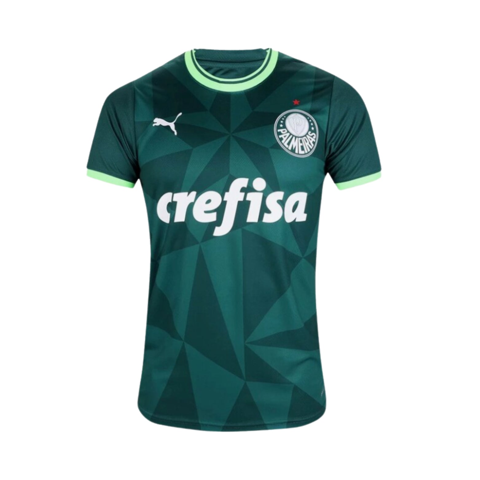 Palmeiras Domicile 23/24 - Vue de face