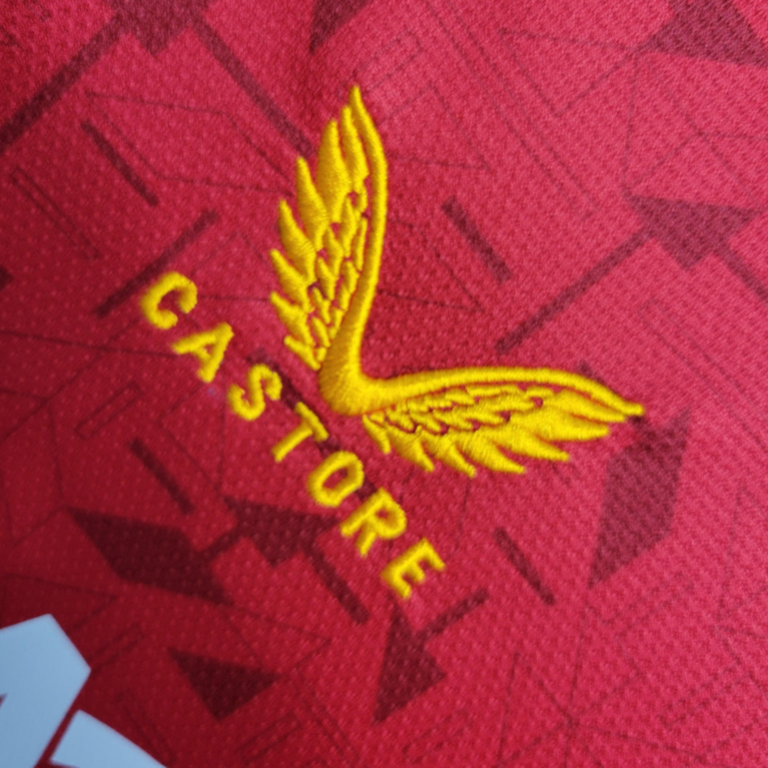 Wolves Extérieur 23/24 - Porté