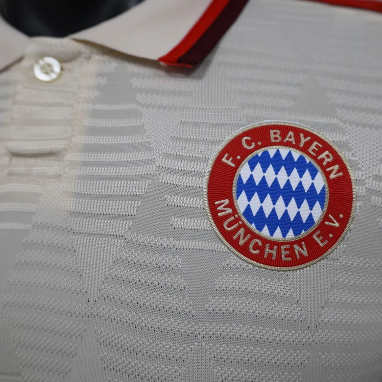 Bayern Munique Troisième 24/25 - Porté