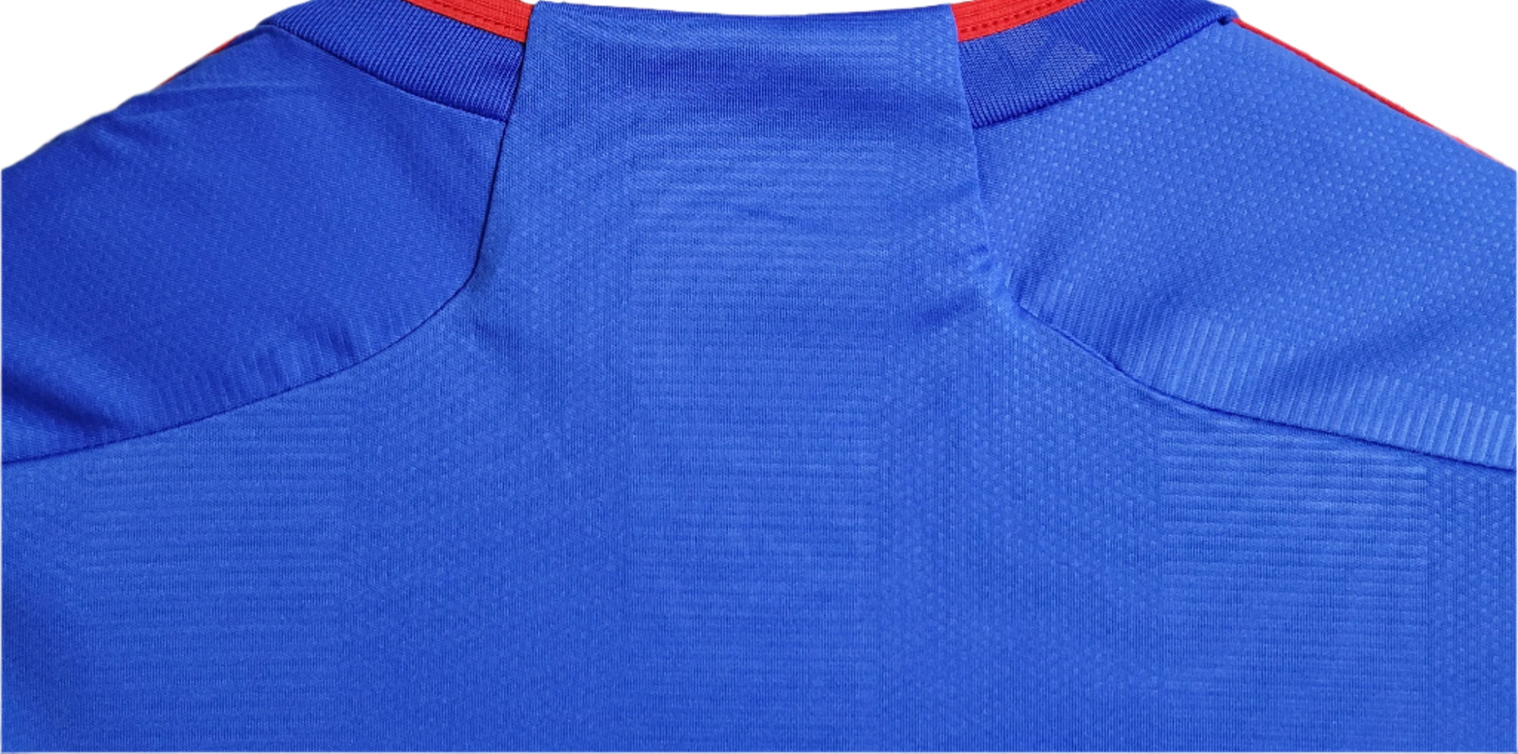 Olympique Lyonnais Extérieur 23/24 - Porté