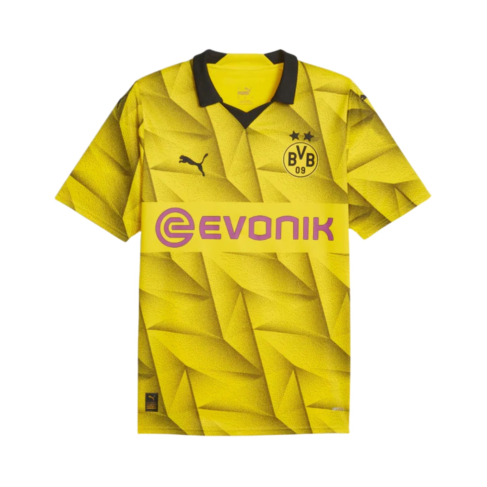 Borussia Dortmund Domicile 23/24 - Vue de face