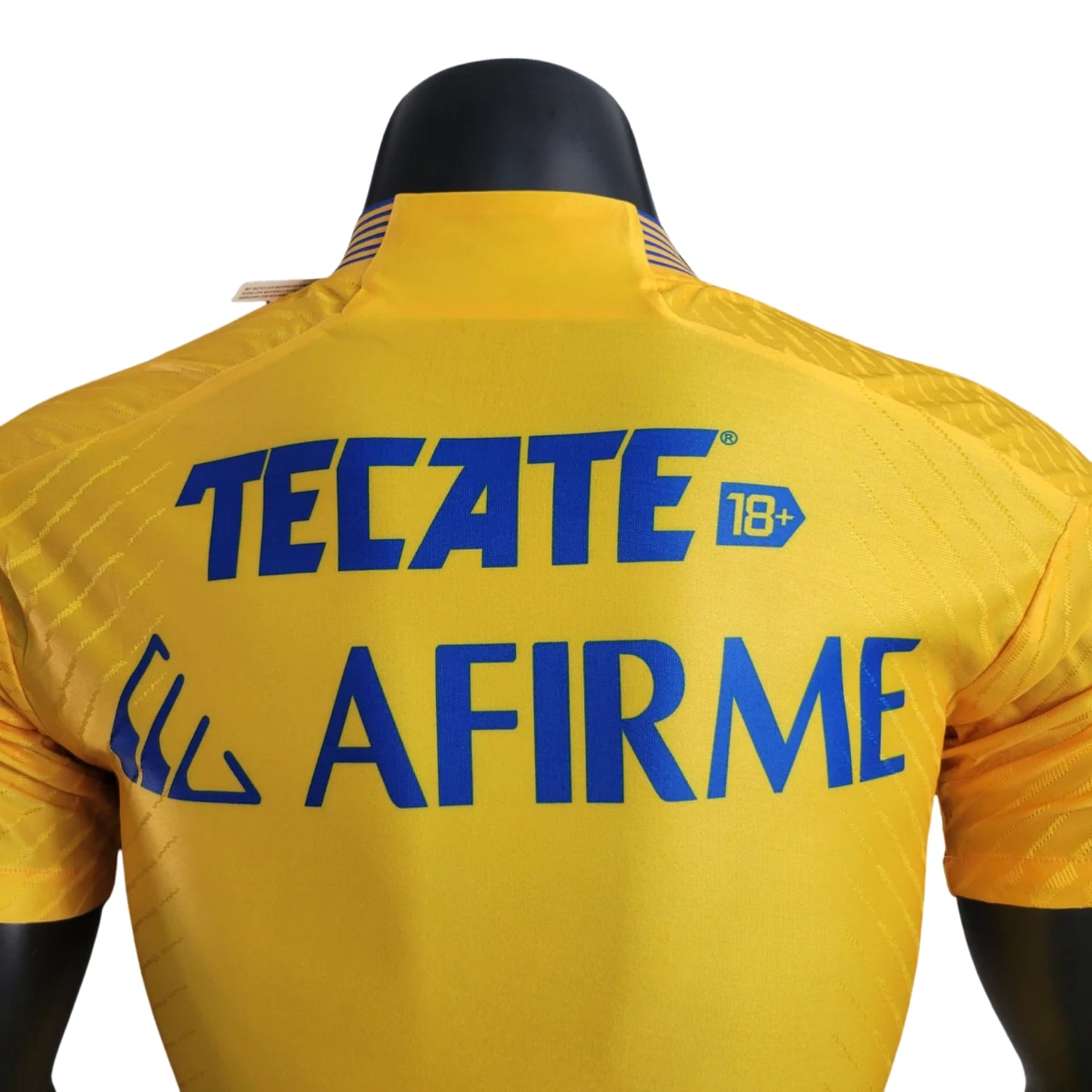 Tigres Domicile 23/24 - Vue rapprochée