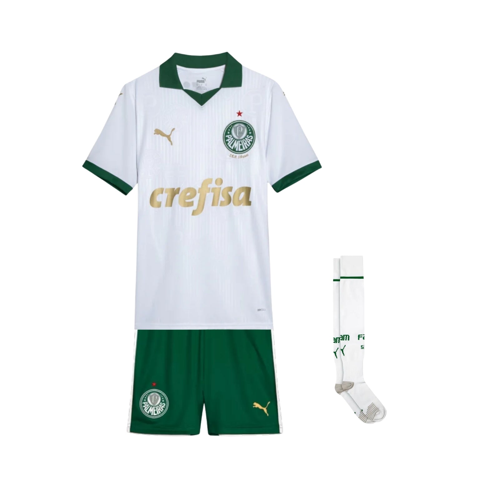 Kit - Palmeiras Extérieur 24/25 - Vue de face