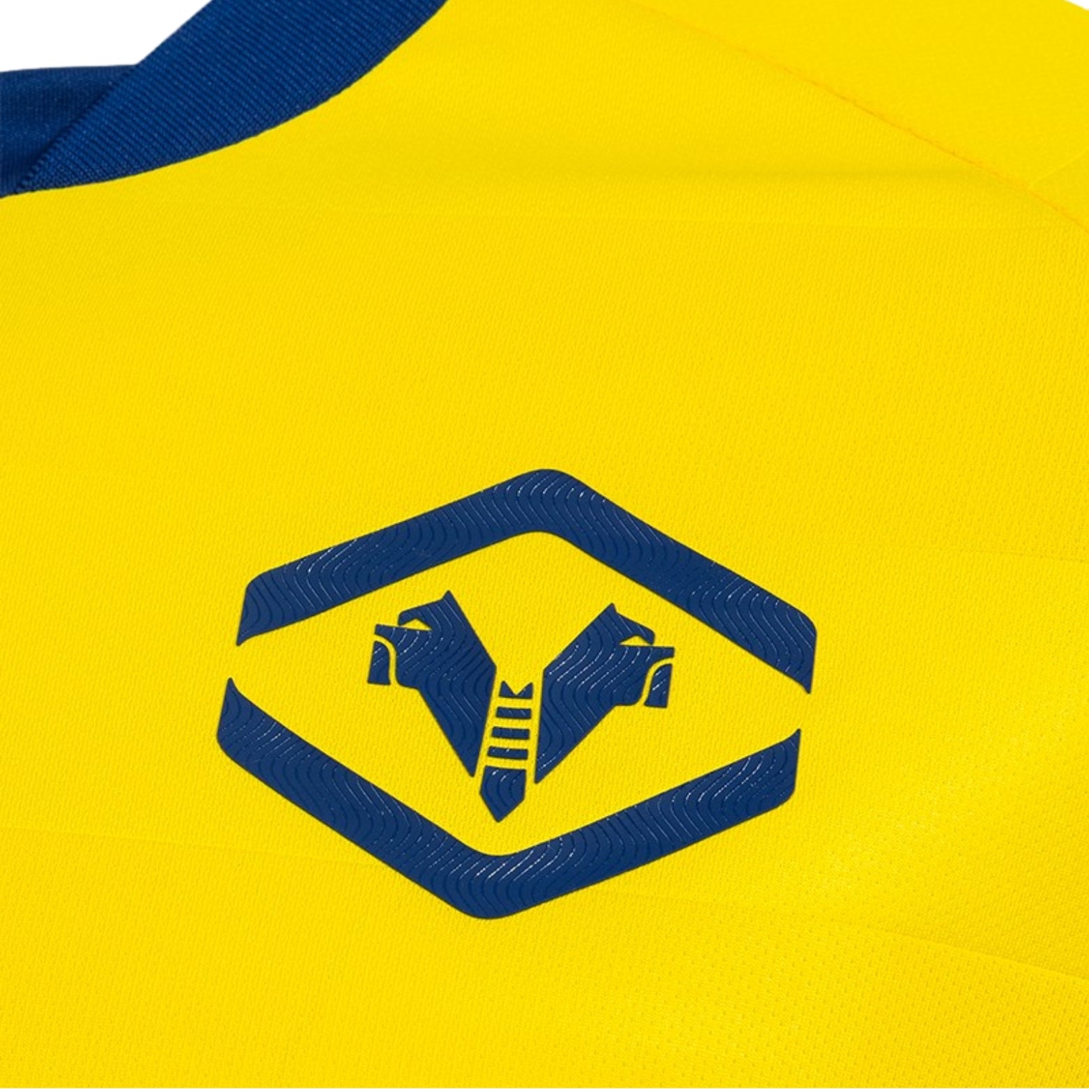 Hellas Verona Extérieur 25/26 - Détail