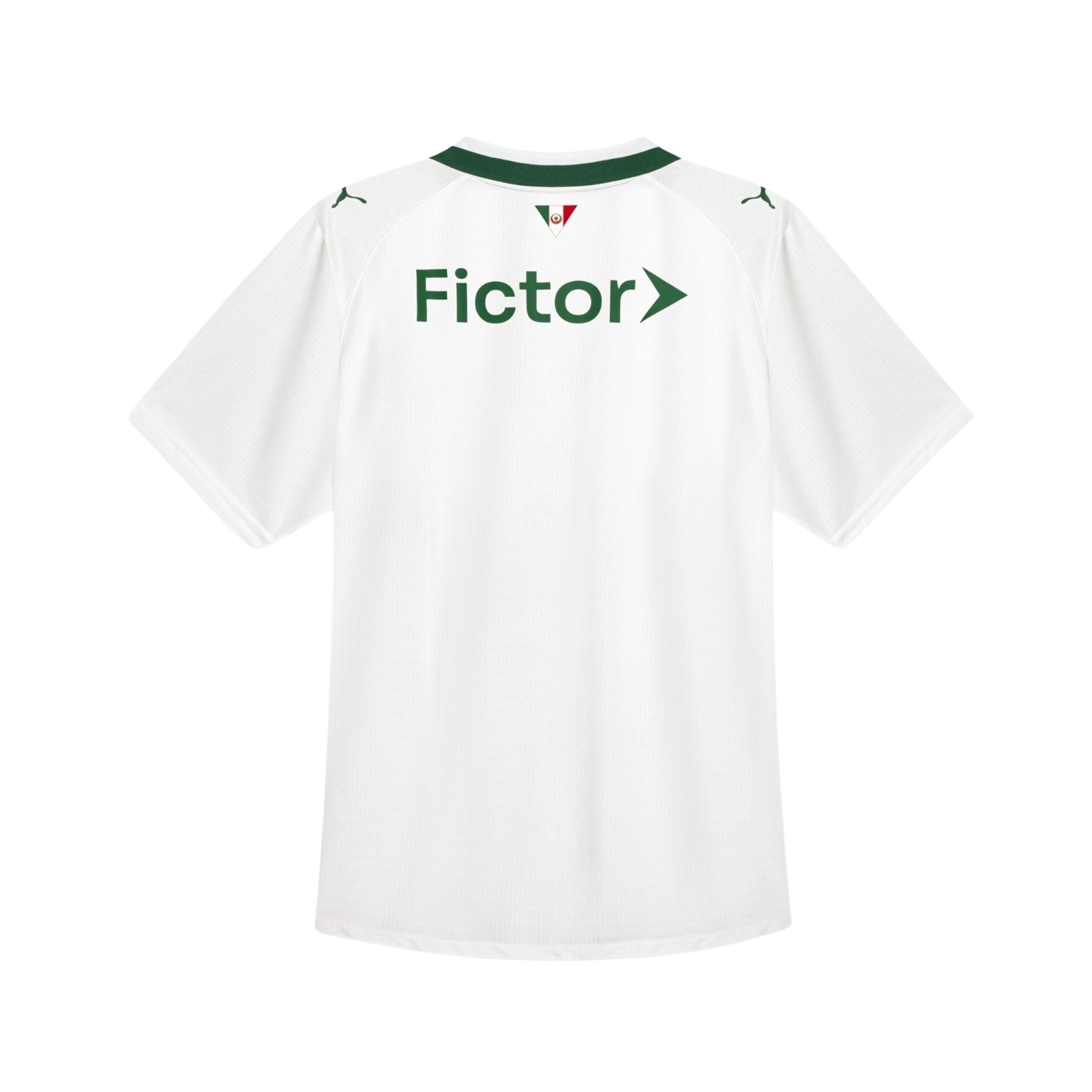 Palmeiras Extérieur 26/27 - Détail