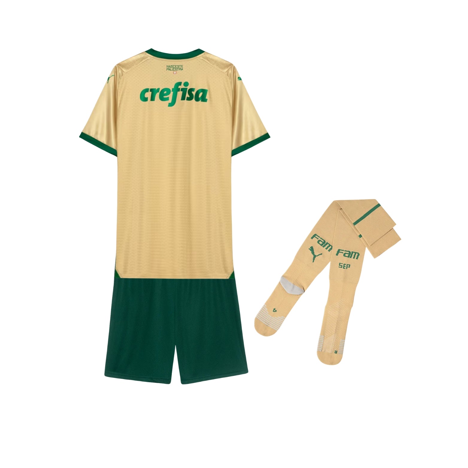 Kit - Palmeiras Troisième 24/25 - Vue de dos