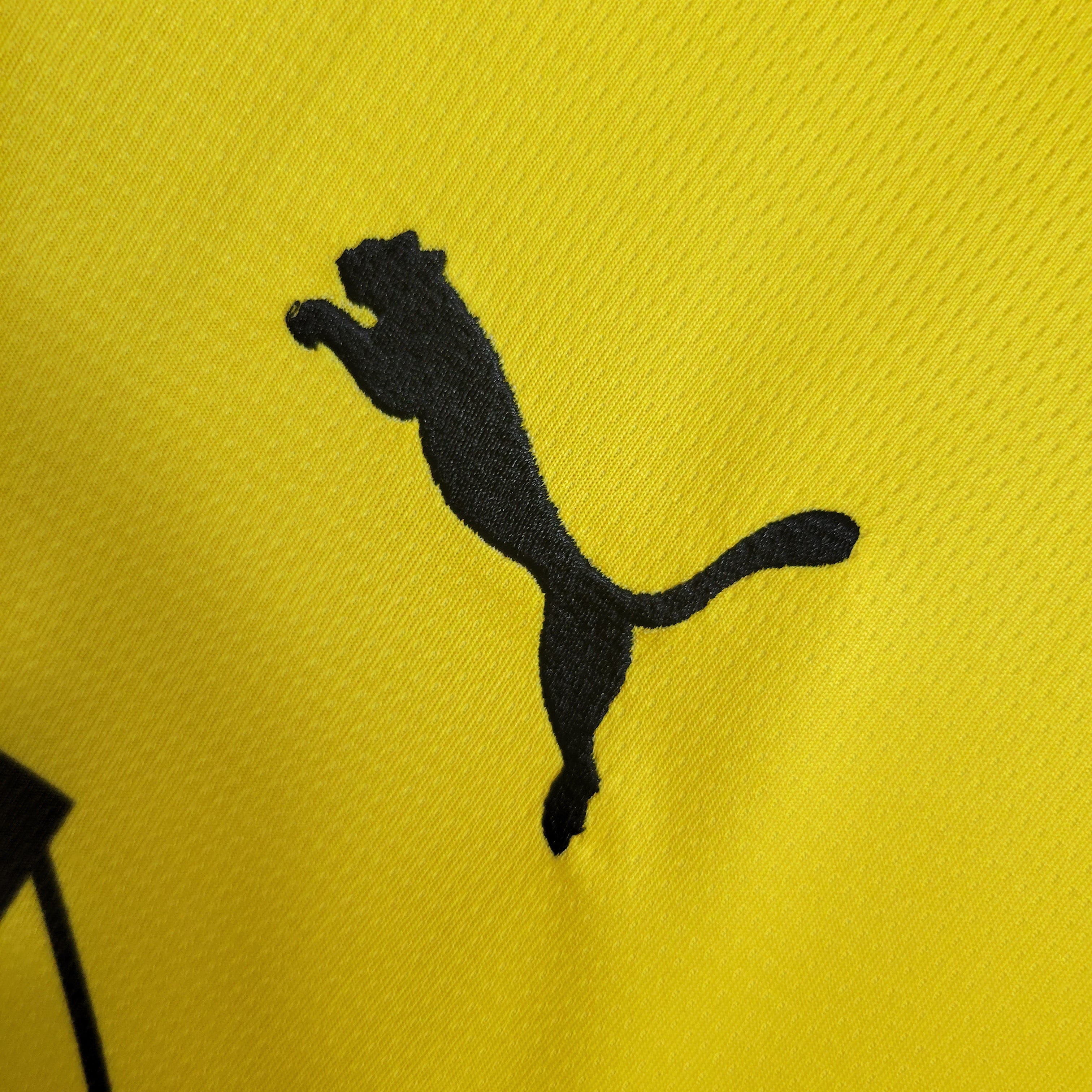 Borussia Dortmund Domicile 23/24 - Porté