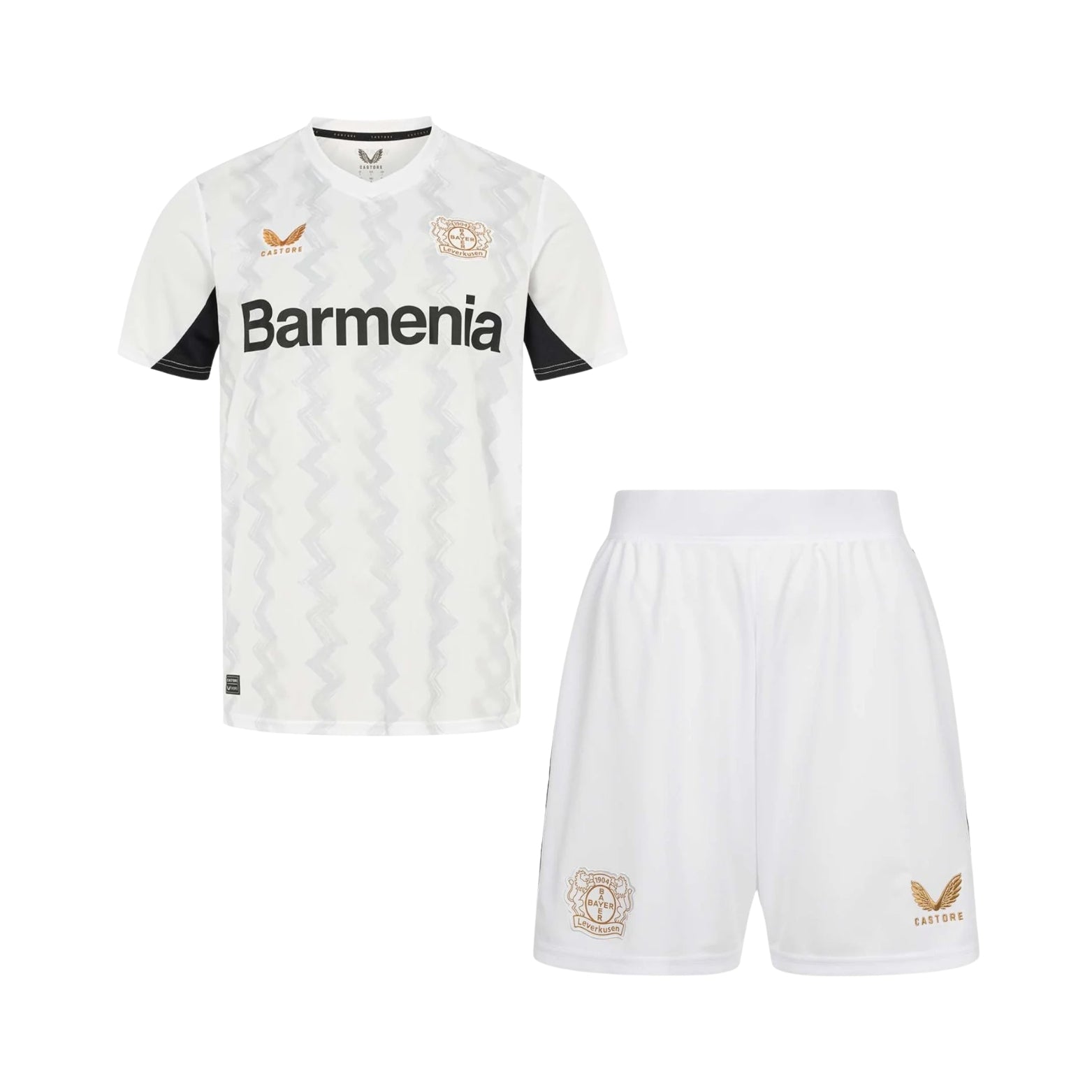 Kit - Bayer 04 Leverkusen Extérieur 24/25 - Détail