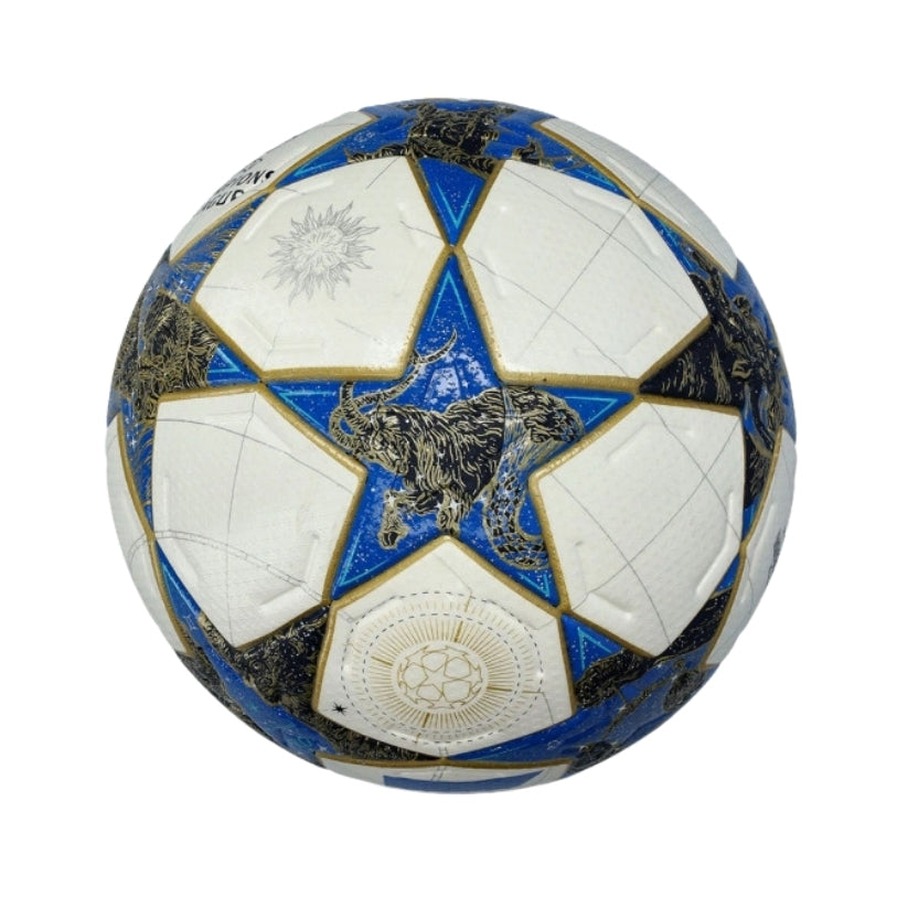 Ballon - Ligue des Champions 25/26 - Vue de dos