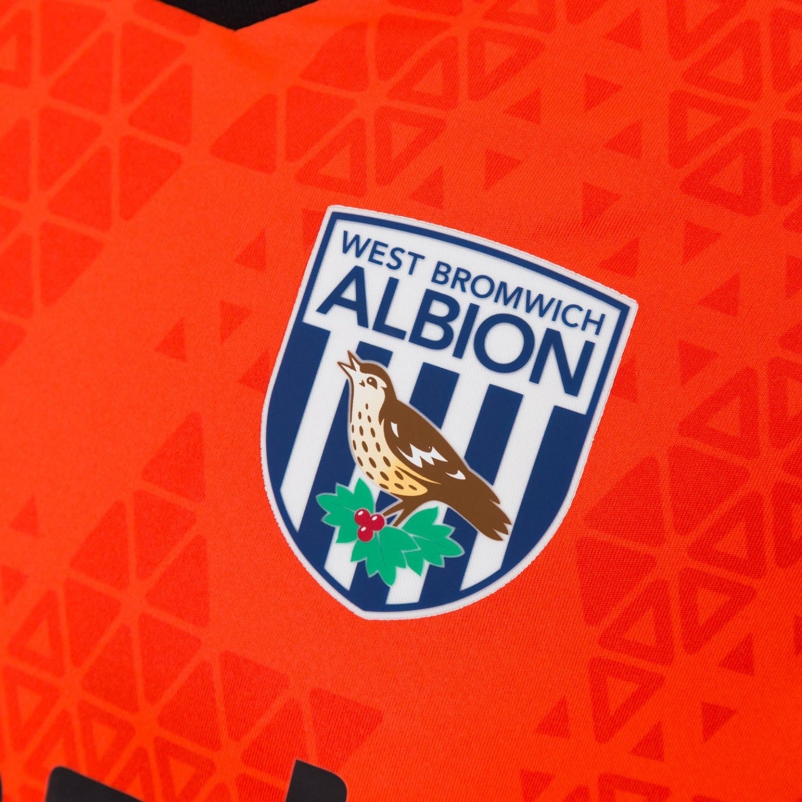 West Bromwich Albion Gardiens de But 25/26 - Détail