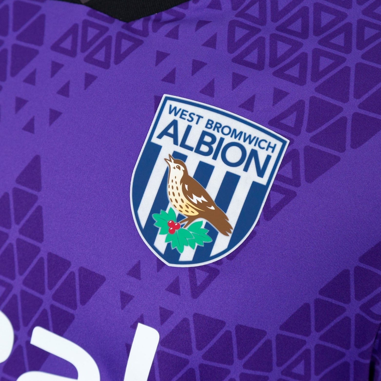 West Bromwich Albion Gardiens de But 25/26 - Vue rapprochée