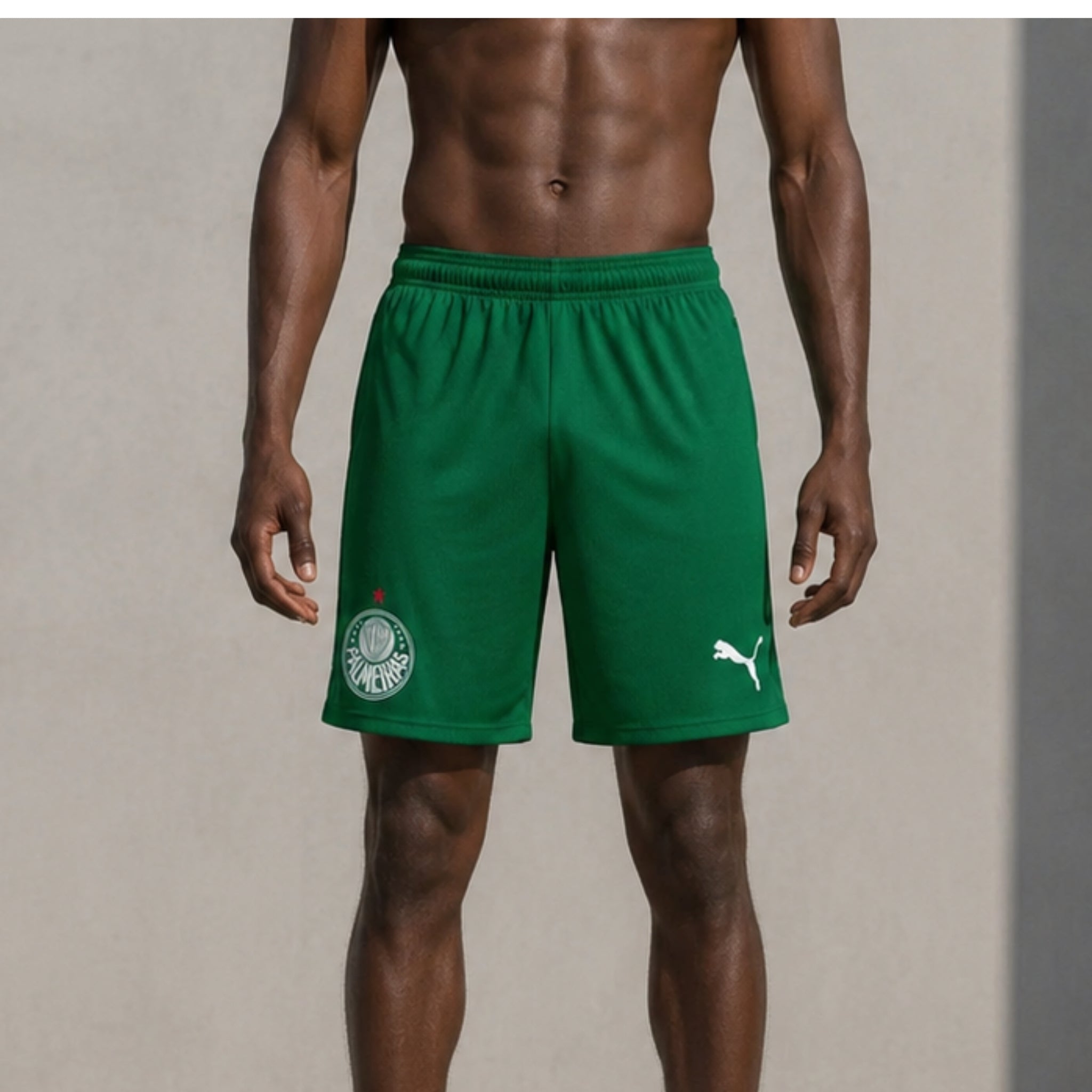 Palmeiras Away Shorts 26/27