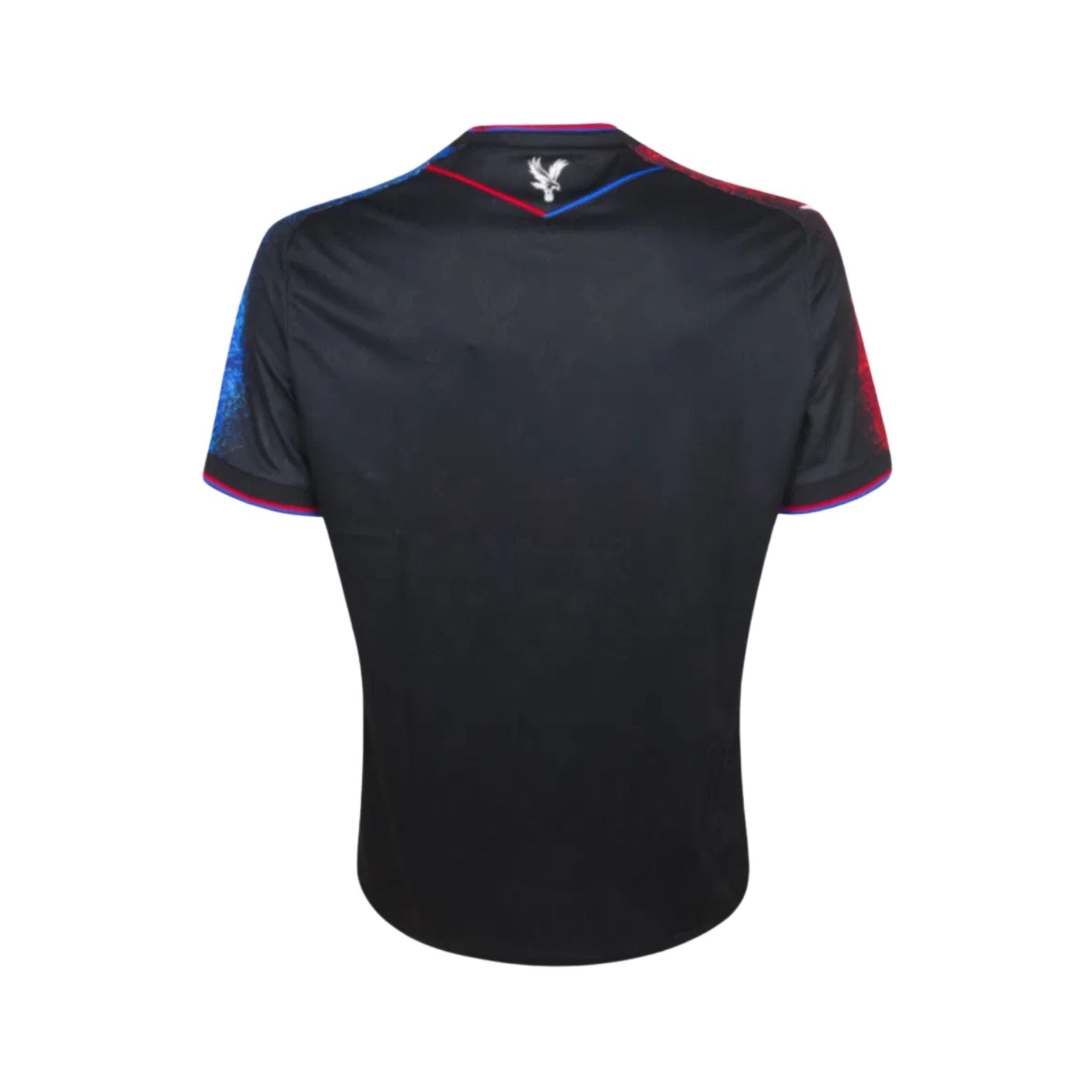 Crystal Palace Troisième 24/25 - Vue de dos