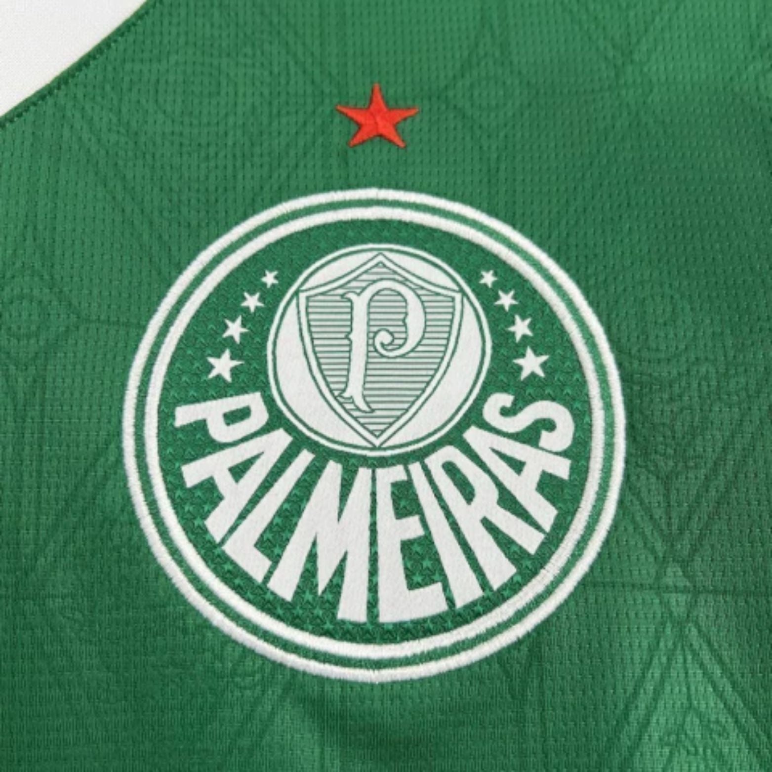 Palmeiras Domicile 25/26 - Vue rapprochée
