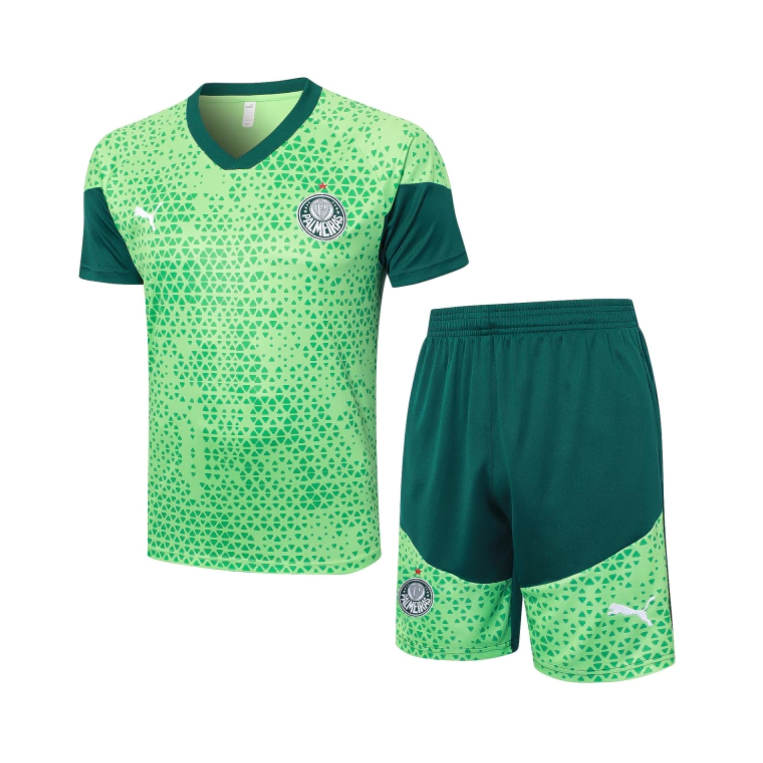 Palmeiras 24/25 - Équipement de Entraînement - Vue de face