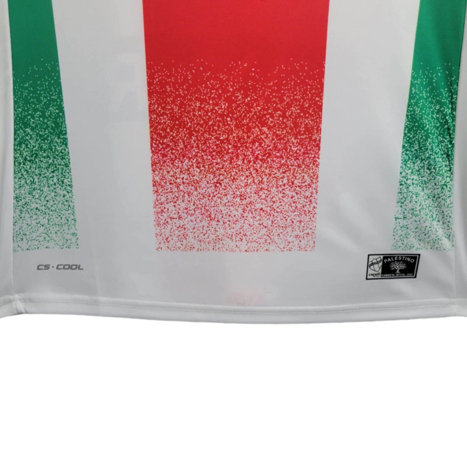 CD Palestino Domicile 24/25 - Détail