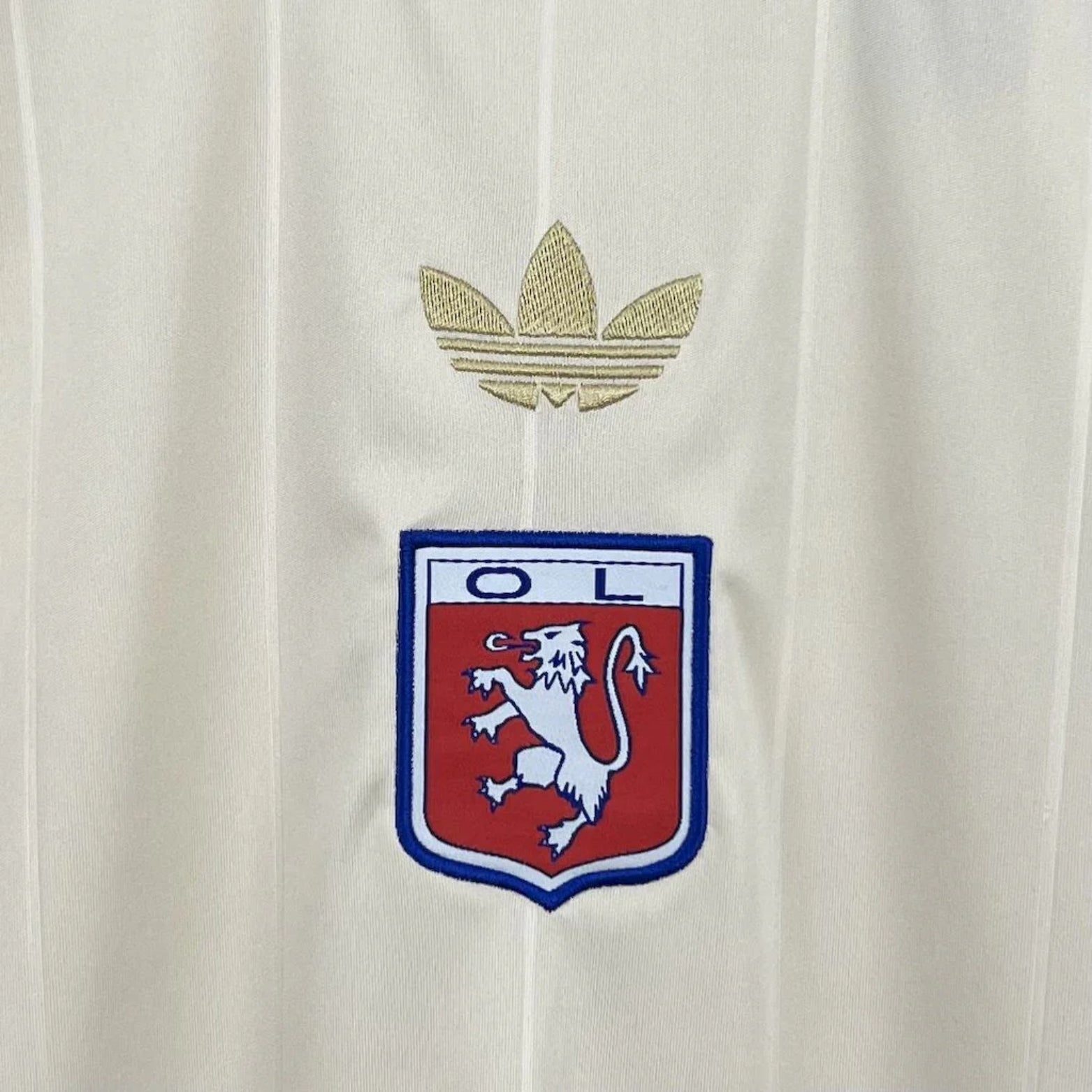 Olympique Lyonnais Édition Spéciale 24/25 - Vue rapprochée
