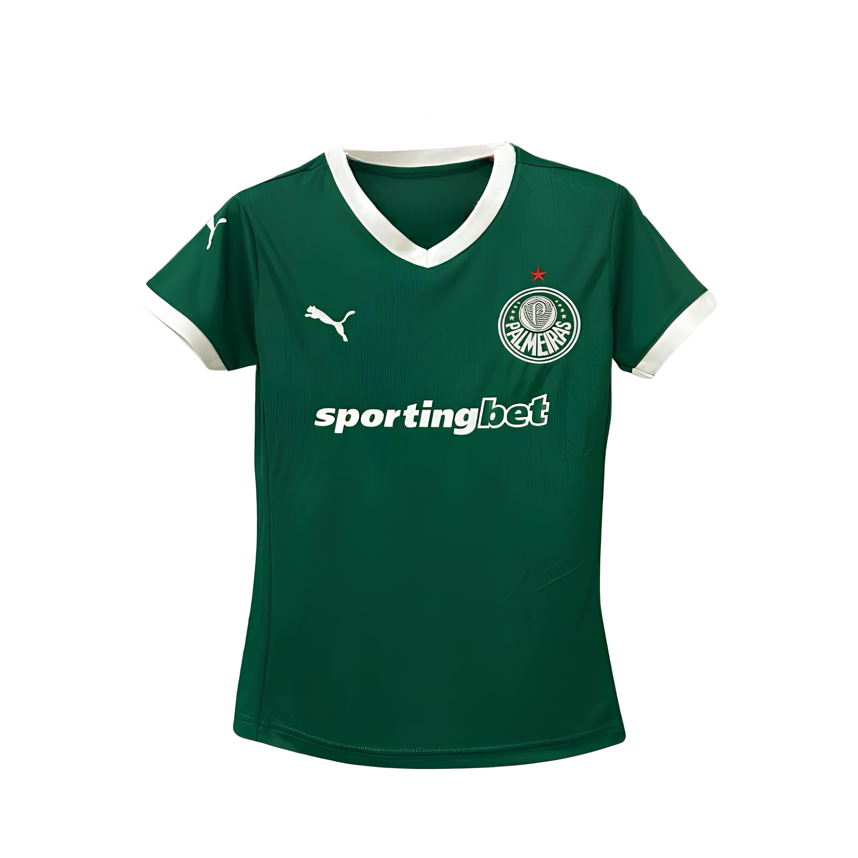 Palmeiras Domicile 25/26 - Vue de face