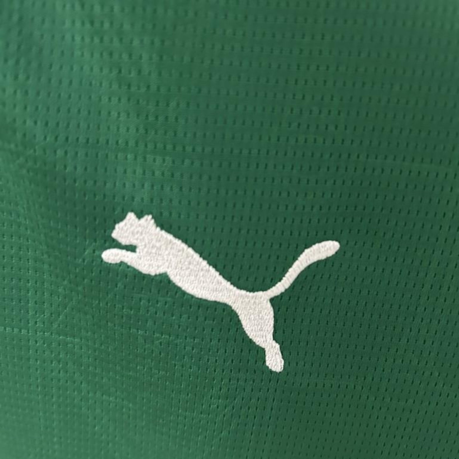 Palmeiras Domicile 25/26 - Vue rapprochée