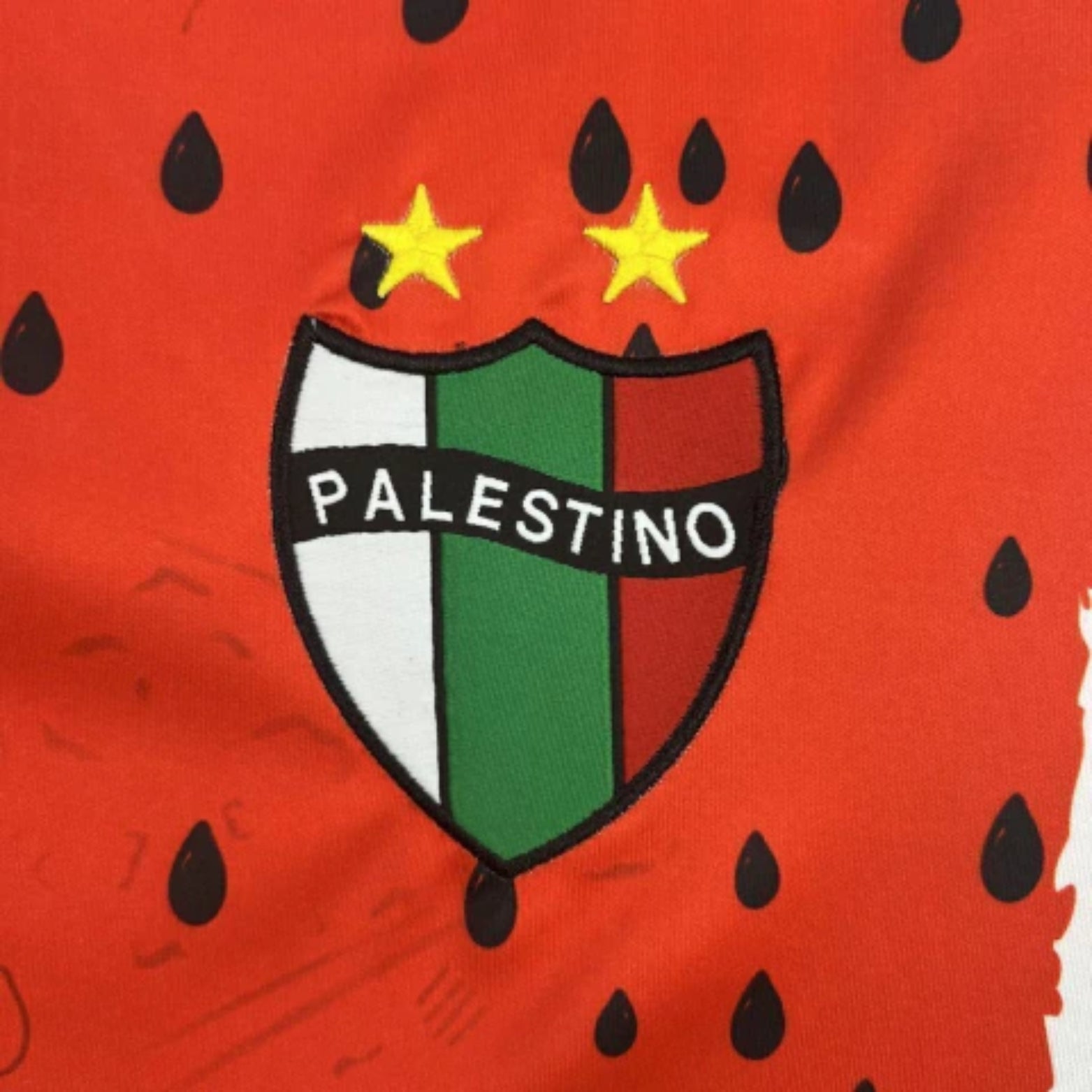 CD Palestino Troisième 25/26 - Vue rapprochée