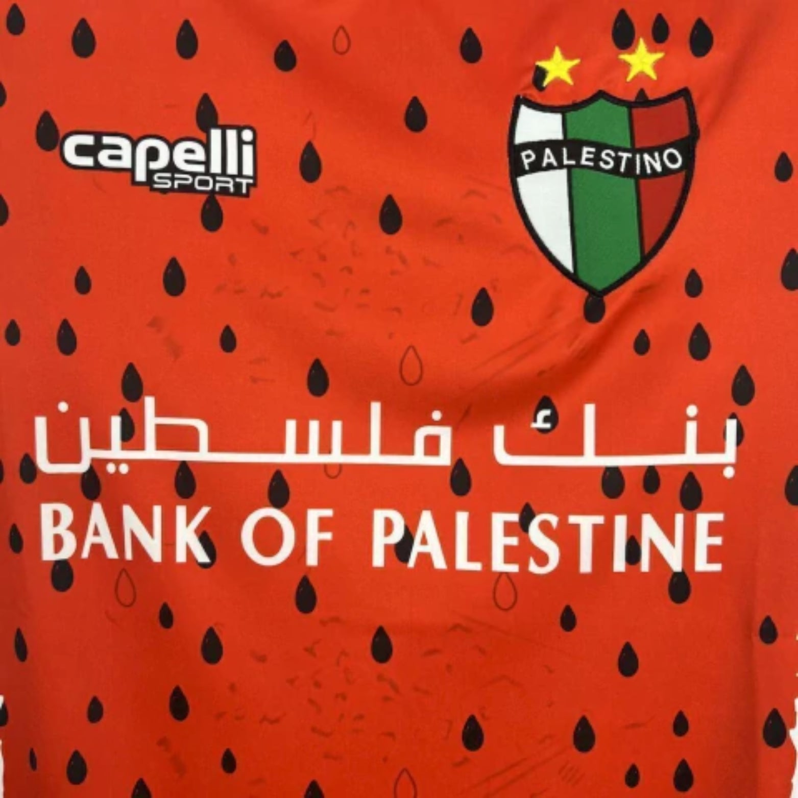 CD Palestino Troisième 25/26 - Détail
