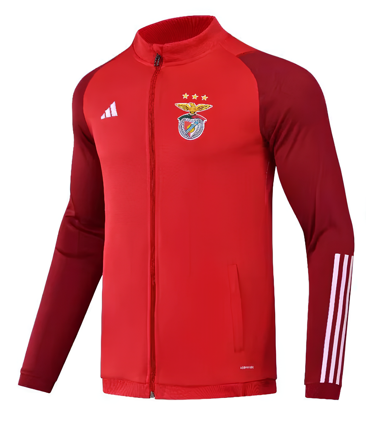 Veste d'entraînement - Benfica - Vue de face