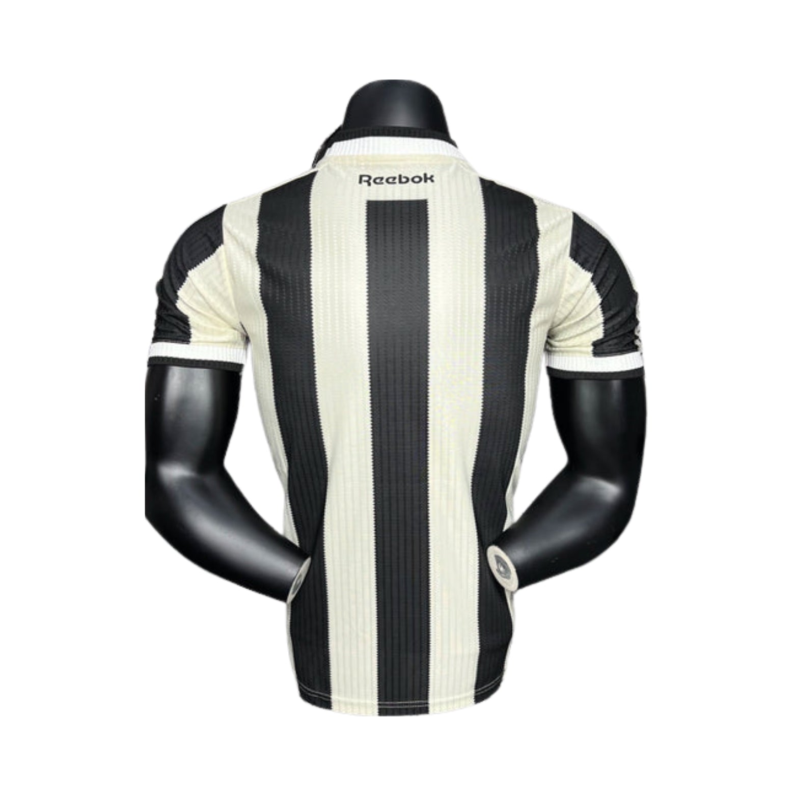Botafogo Domicile 24/25 - Vue de dos