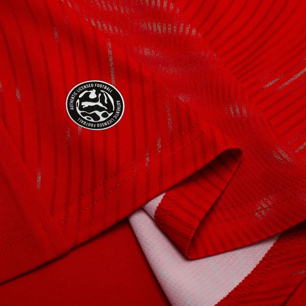 Suisse Domicile 26/27 - Coupe du Monde 2026