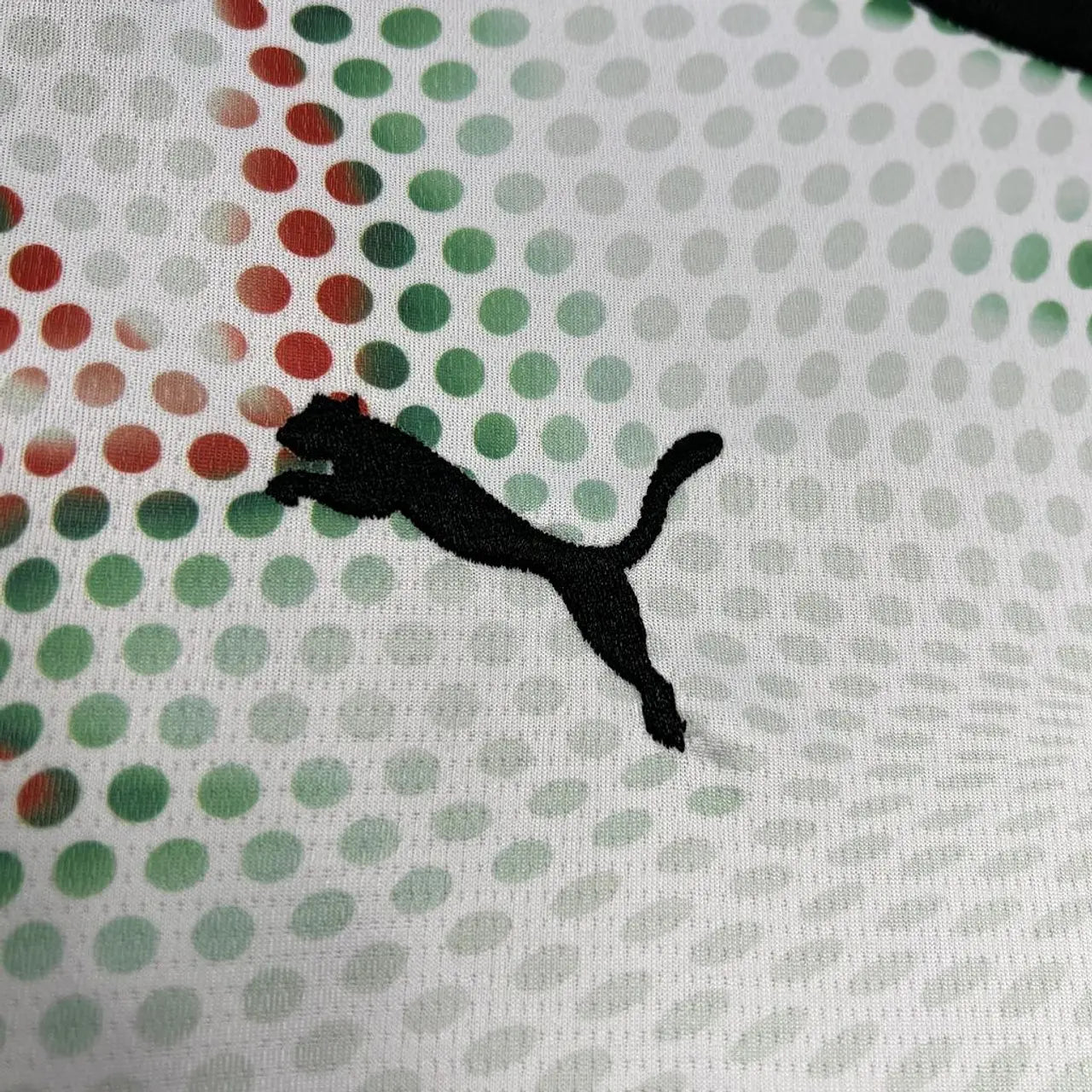 Portugal Extérieur 25/26 - DIOGO J. 21 - Vue rapprochée