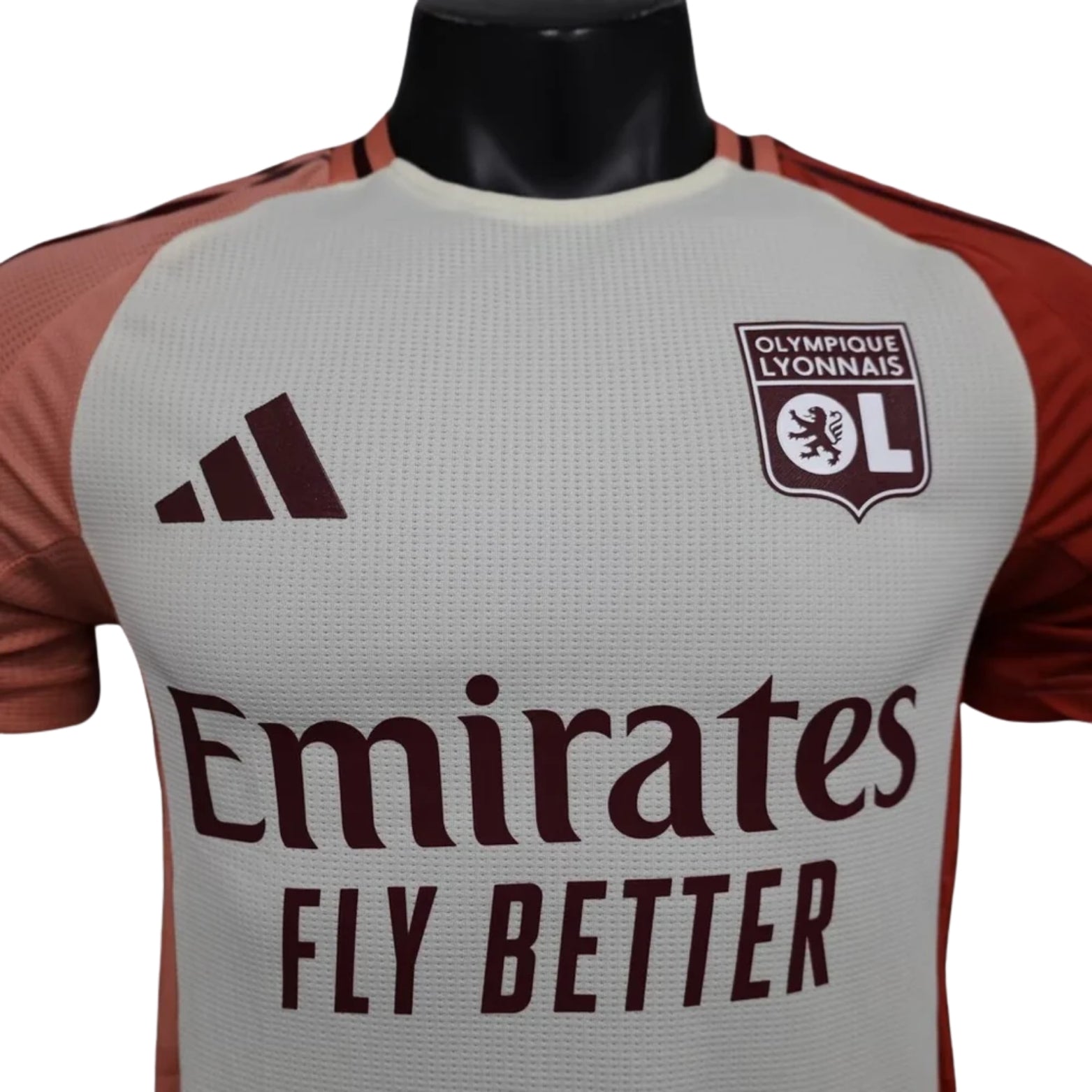 Olympique Lyonnais Troisième 24/25 - Détail