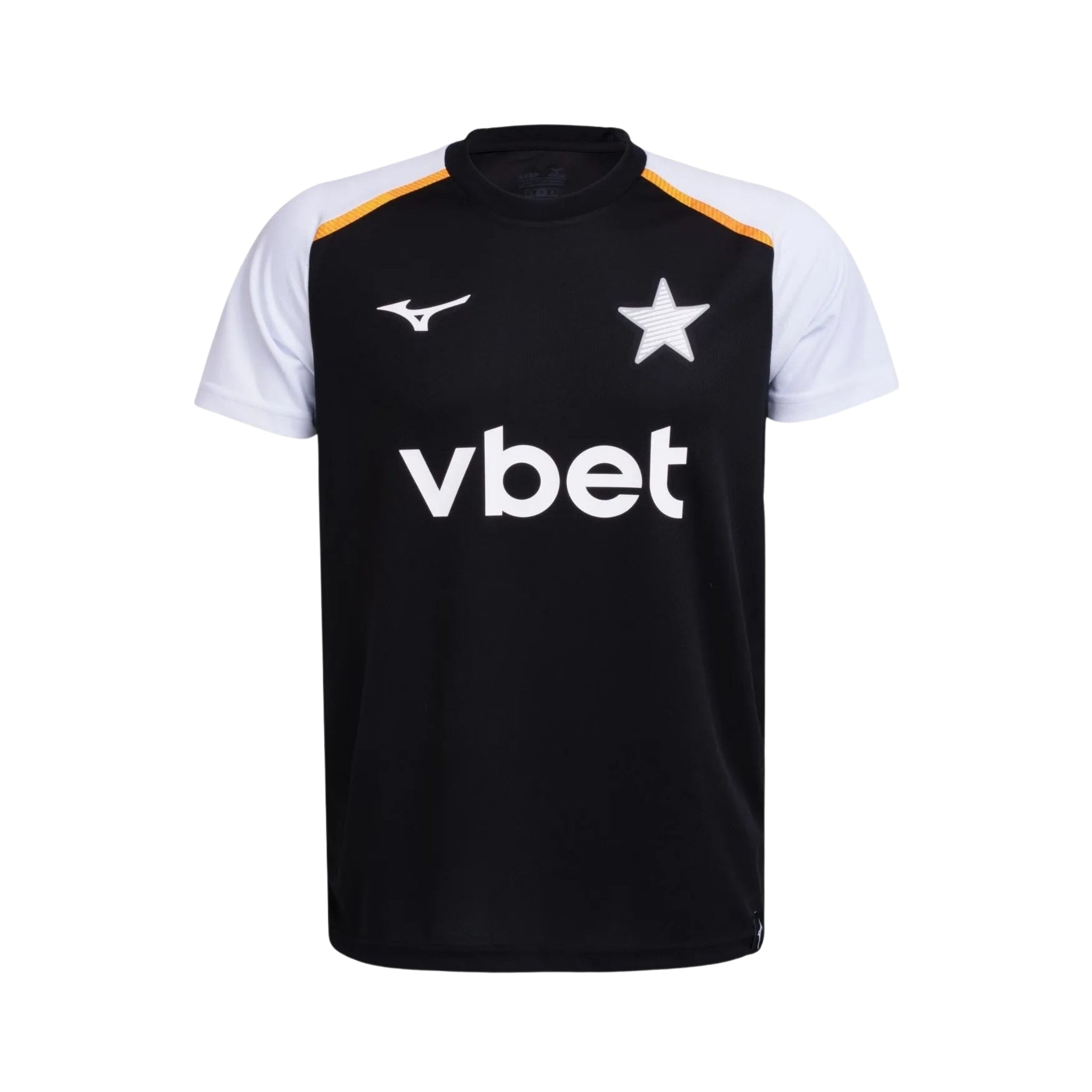 Botafogo Entraînement 26/27