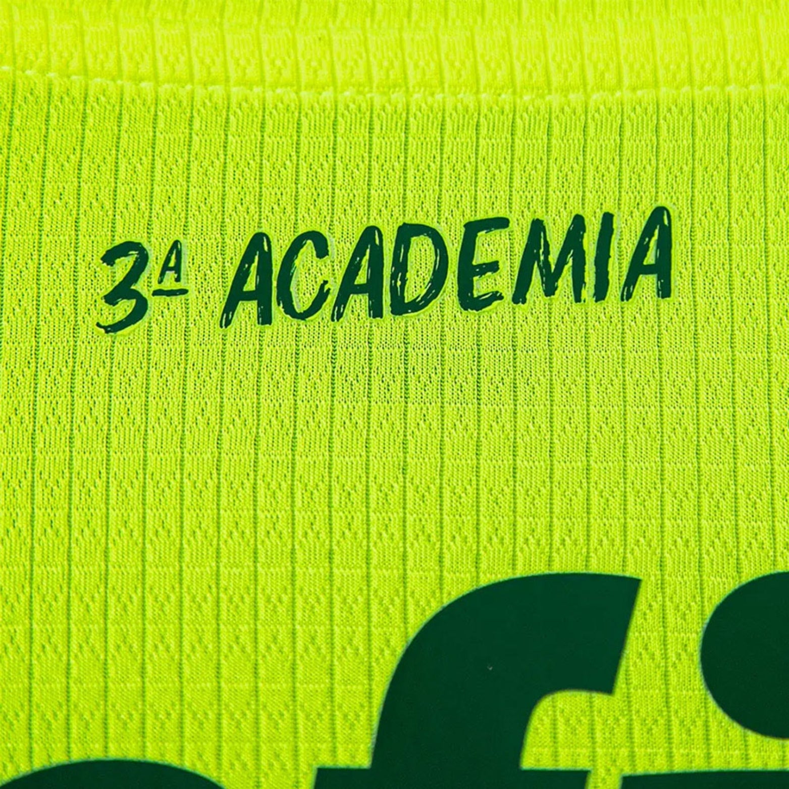 Palmeiras Troisième 23/24 - Porté