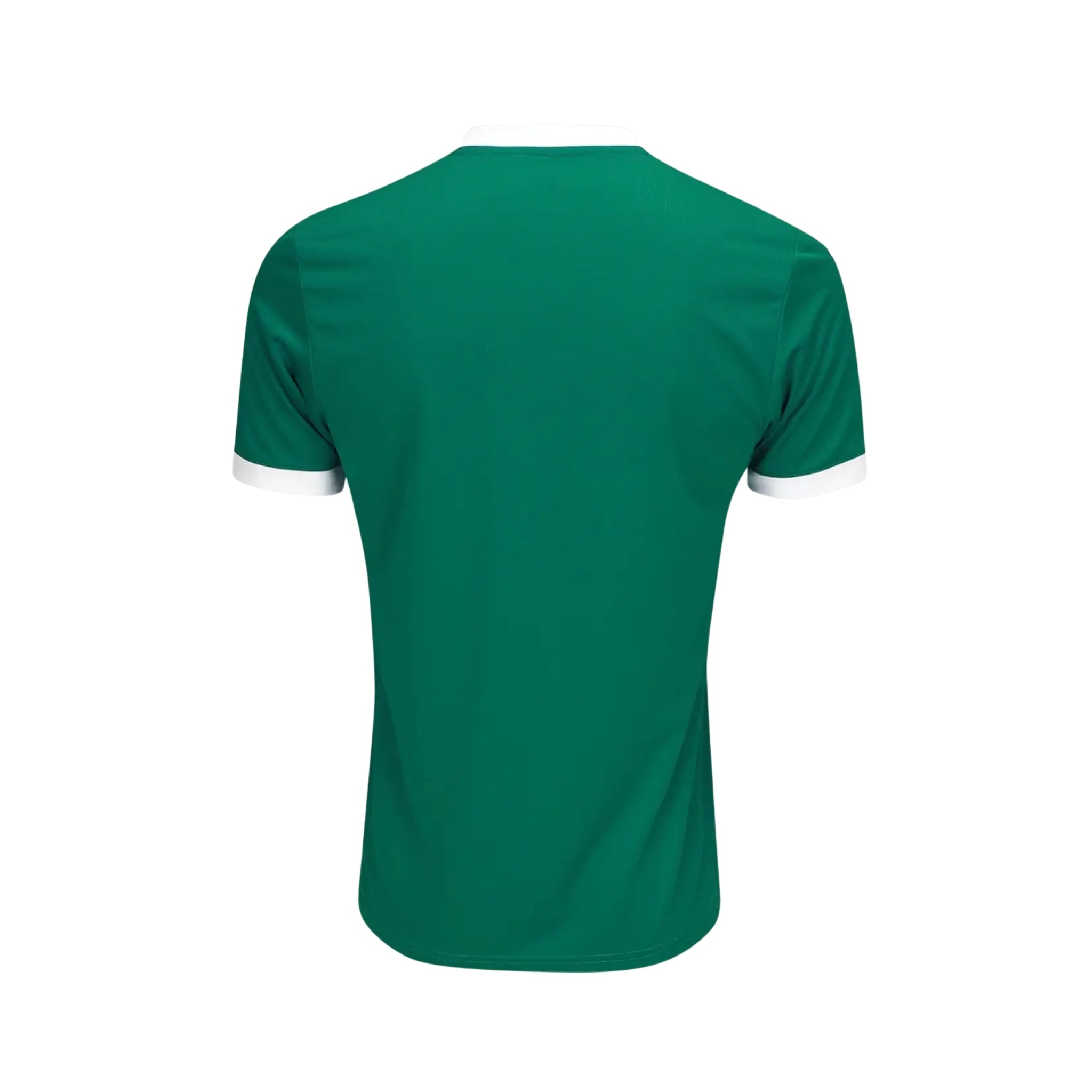 Palmeiras Domicile 25/26 - Détail