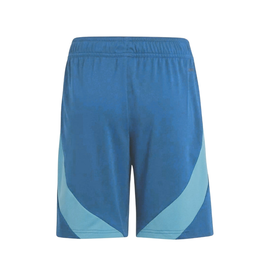 Ajax Away Shorts 24/25