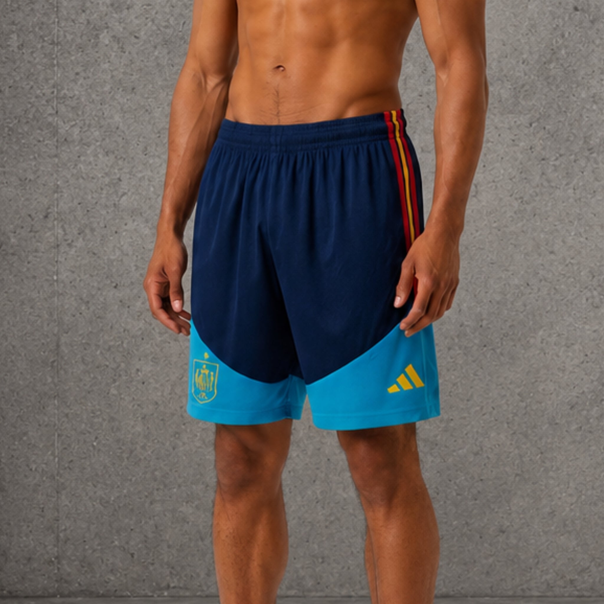 Spain Training Shorts 26/27