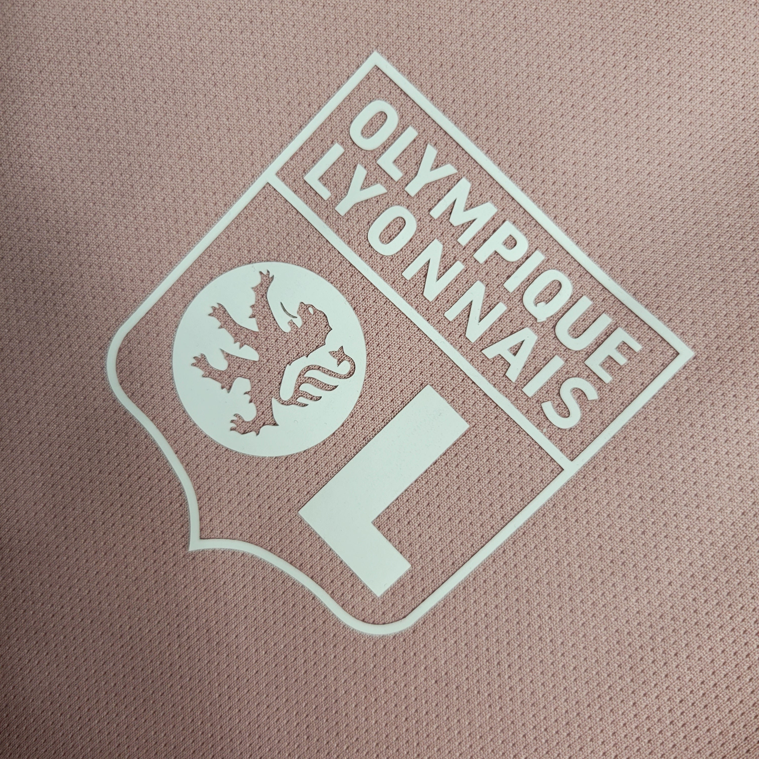 Olympique Lyonnais Entraînement 23/24 - Porté