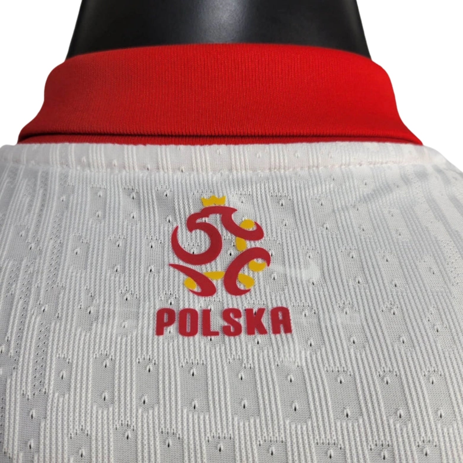 Pologne Domicile 24/25 - Porté