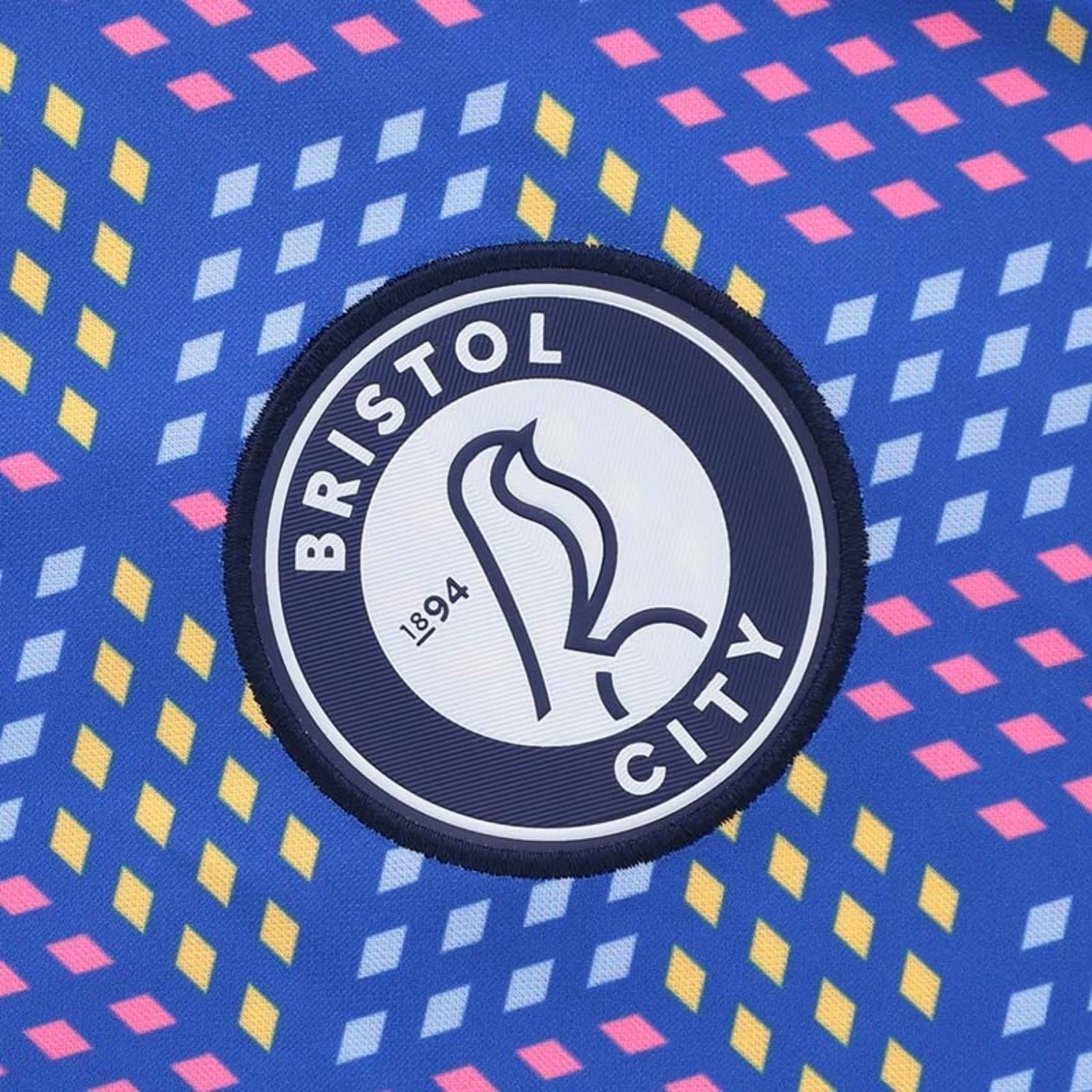 Bristol City Gardiens de But 25/26 - Détail