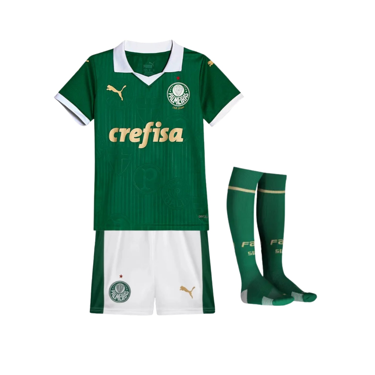 Kit - Palmeiras Domicile 24/25 - Vue de face