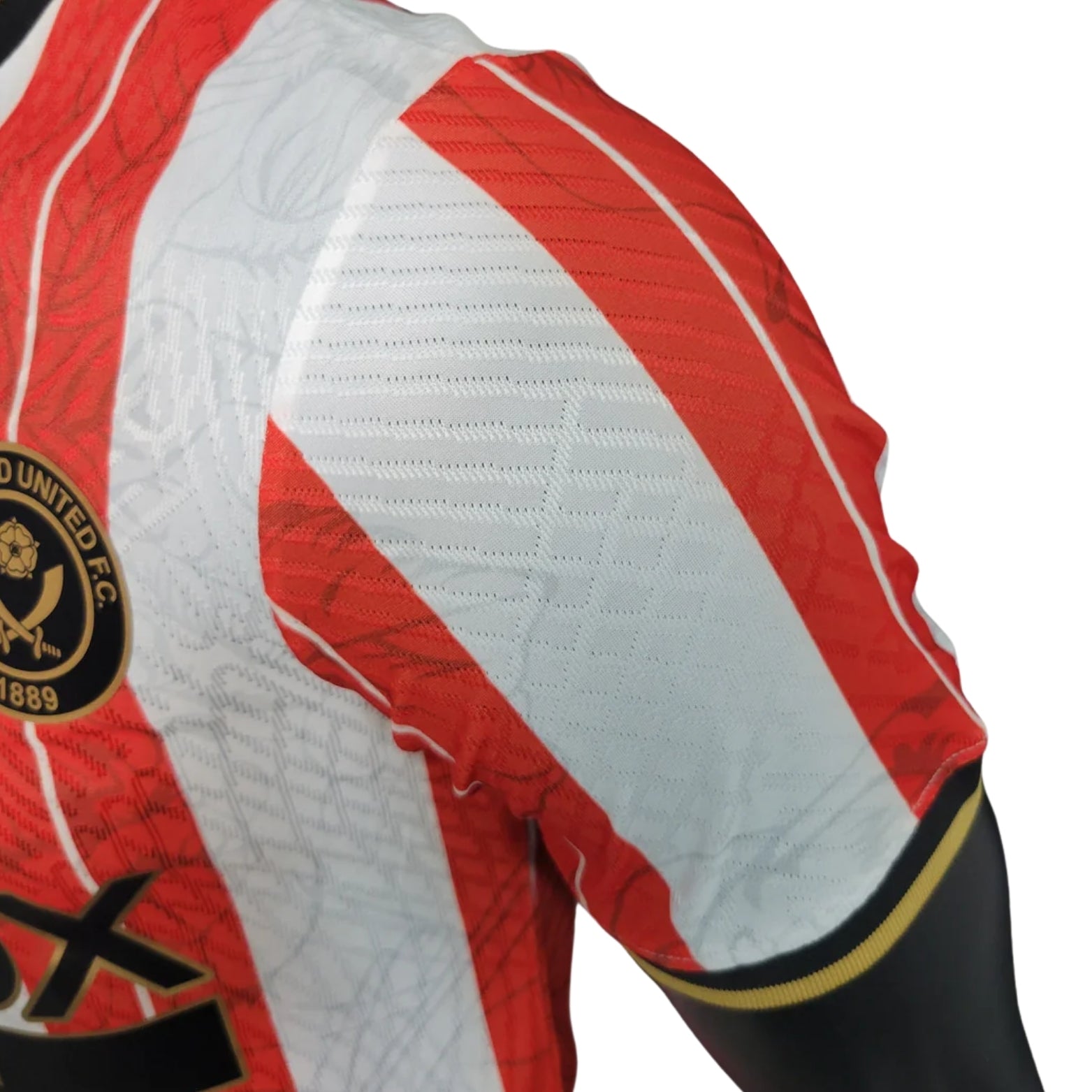 Sheffield United Domicile 23/24 - Vue rapprochée