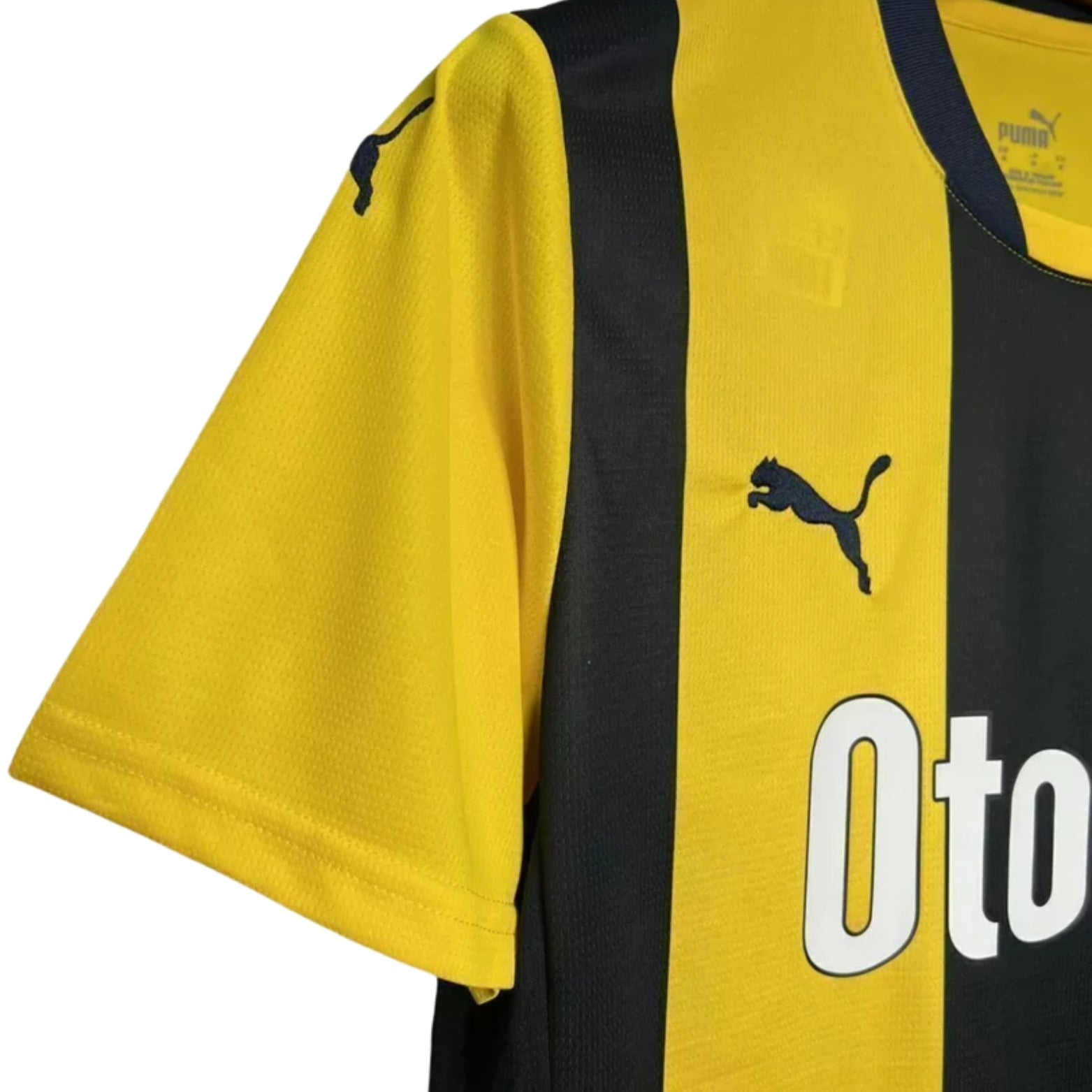 Fenerbahce Domicile 24/25 - Détail