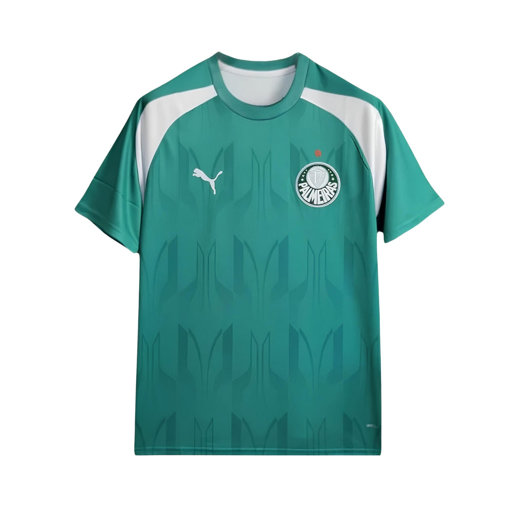 Palmeiras Training 24/25