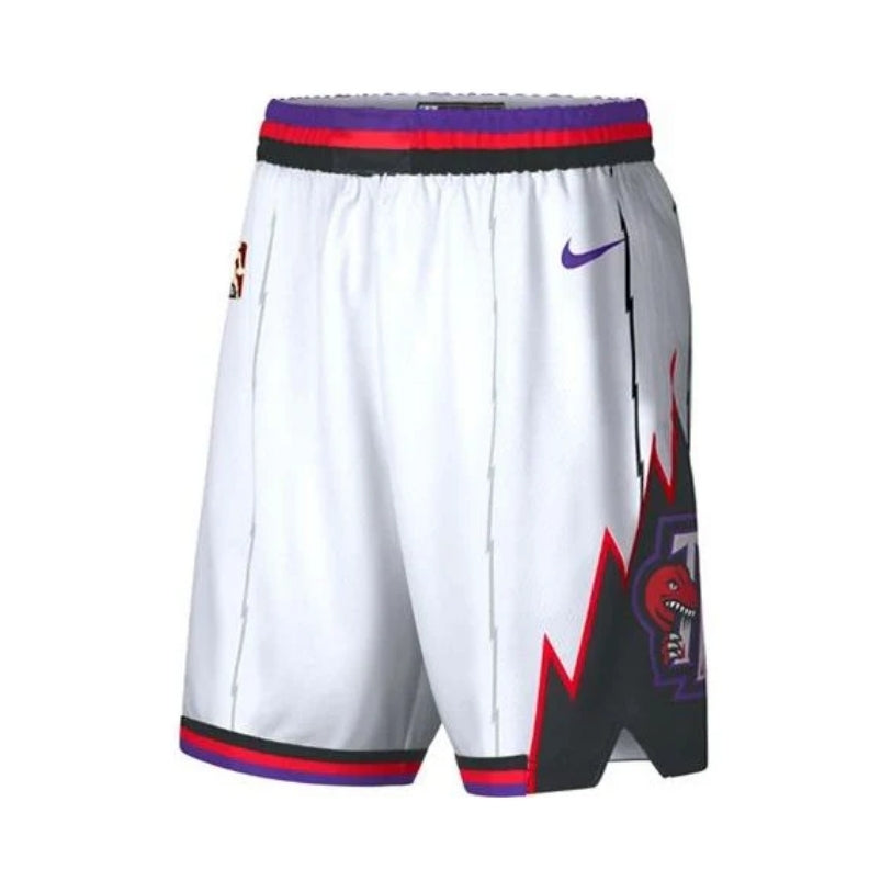 Camiseta Toronto Raptors Edición Clásica 24/25