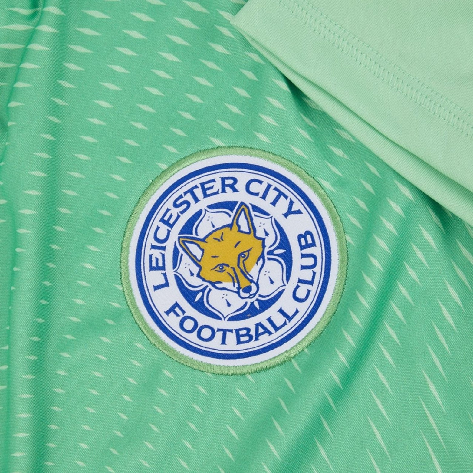 Leicester City Gardiens de But 25/26 - Vue rapprochée