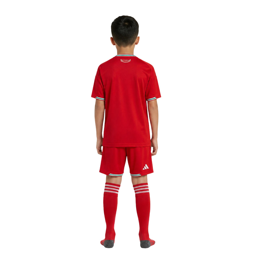 Wales - Home Kit 26/27 - World Cup 2026