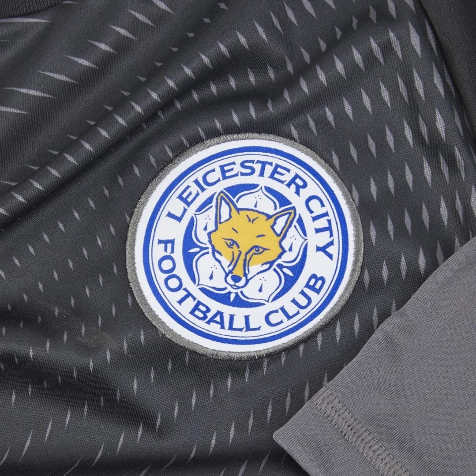 Leicester City Gardiens de But 25/26 - Vue rapprochée